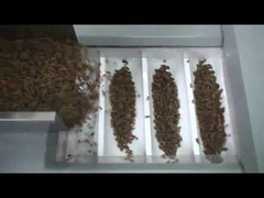 Cena fabryczna maszyna do pakowania rodzynek, maszyna do pakowania orzechów, maszyna do pakowania suszonych czerwonych dat