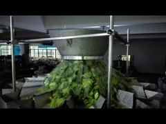 Zobacz dlaczego warto wybrać maszynę do pakowania w gotowe torebki z nasionami dyni, zamykane na zamek błyskawiczny, z wagą i pakowaniem