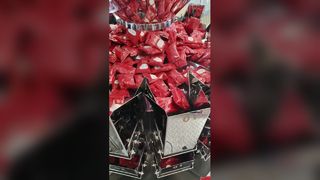 Automatyczna maszyna do pakowania w worki obrotowe typu Bag-in-Bag